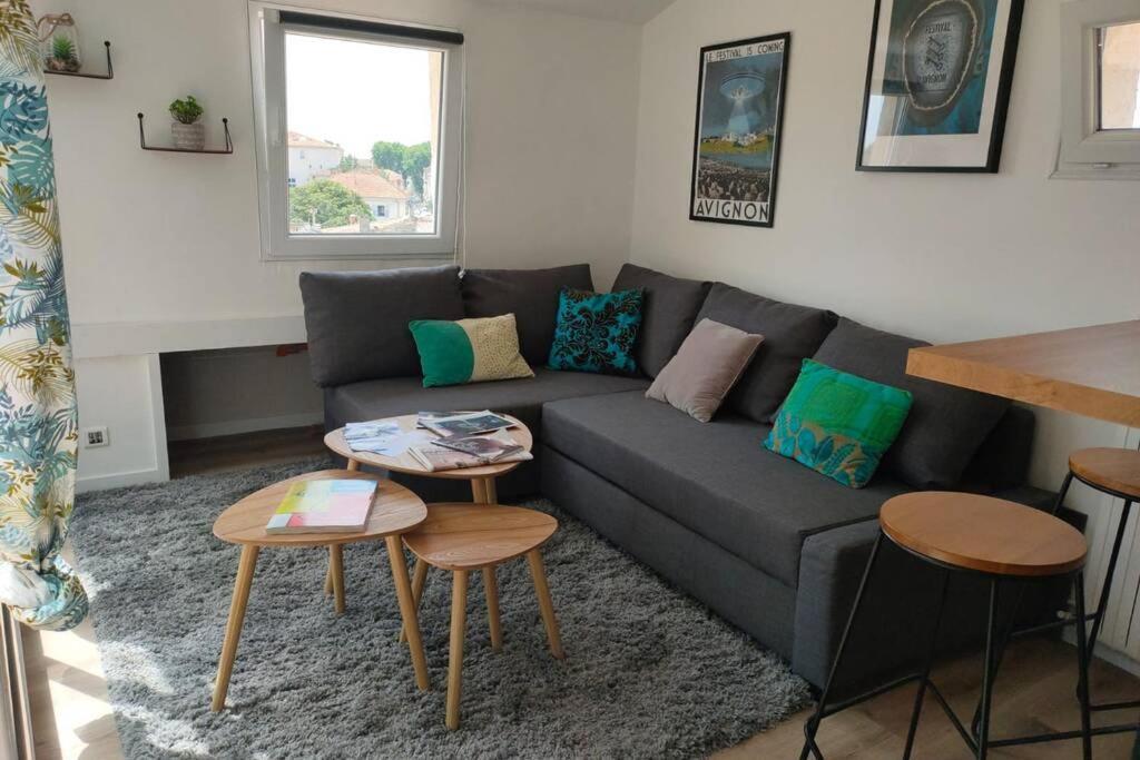Petit Loft Sur Les Toits D'avignon Apartment *